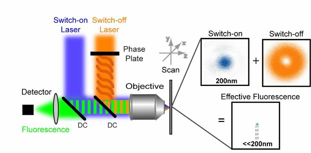 Optical Microscopy STED Stimulated Emission Depletion