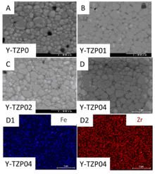 SEM micrographs of sintered ceramics Y-TZP0 (A), Y-TZP01 (B), Y-TZP02 (C) and Y-TZP04 (D) show a uniform microstructure. EDXA correlated individual maps of iron (D1) and zirconium elements (D2) show a good homogenization of the elements
