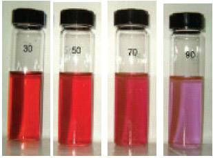 Citrate Gold Nanoparticles