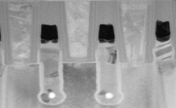 The Different Imaging Modes Offered By Tescans Sem