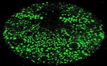 Atom Probe Tomography (APT) represents a revolutionary characterization tool for materials that can image individual atoms in three dimensions, a major advancement over the two dimensional images of other microscopy techniques.