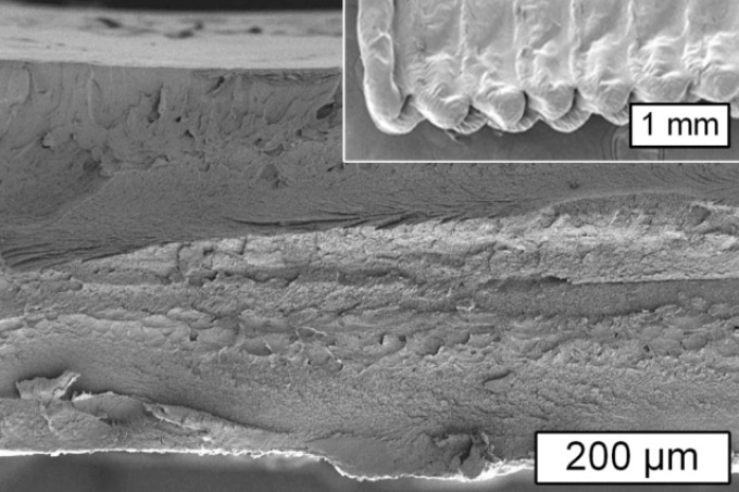 Researchers Achieve Breakthrough In Using Cellulose For 3d Printing