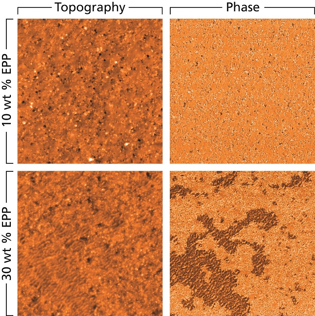 Using Afm To Characterize Polymer Thin Films - 