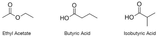 ethyl acetate molar mass