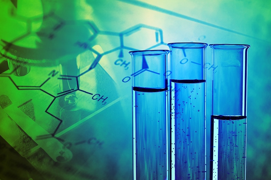 Exploring Gas Solubility in Ionic Liquids