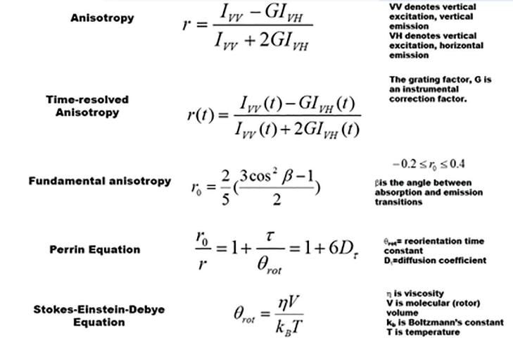 Fluorescence Anisotropy - What Is It?