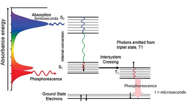 Fluorescence Spectroscopy - Applications and Principles