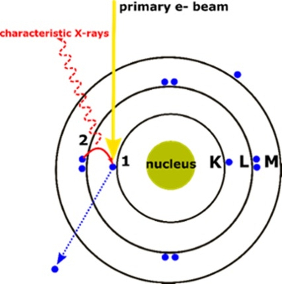 How Does EDX Analysis With A Scanning Electron Microscope (SEM) Work?