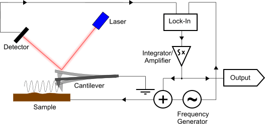 What is Scanning Probe Microscopy (SPM)?