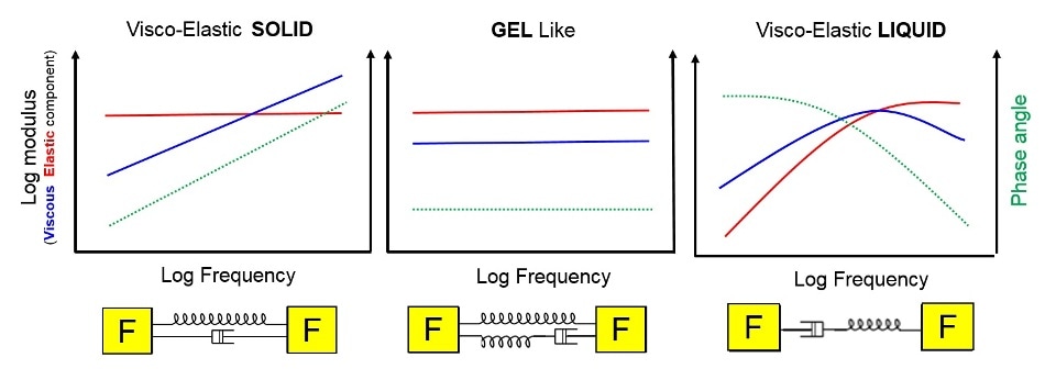 Rheology 101 Learning The Basics