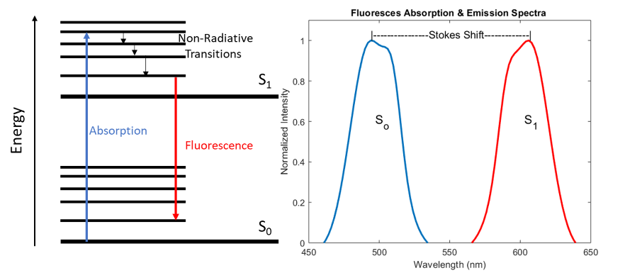 An Introduction To The Theory Behind Fluorescence Spectrometers