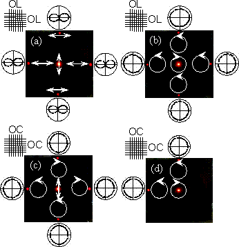 AZOJOMO - The AZO Journal of Materials Online - Diffraction patterns passed through the crossed gratings formed by overwriting the same polarization gratings.