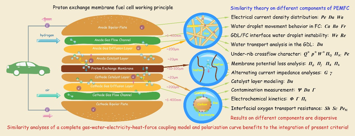 fuel cell study