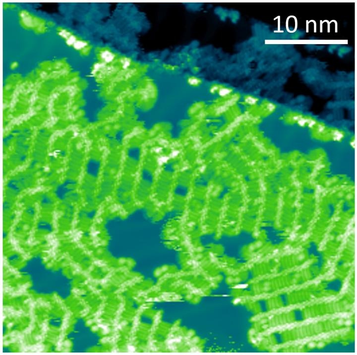 Researchers Chance Upon Abba Flaws In Conjugated Polymers - 