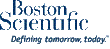 Novel Platinum Chromium Coronary Stent System with Bioabsorbable Polymer Coating