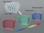 Carbon Black-Doped Hydrogels Display Bright Structural Colors