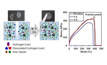 ion bonding masl review