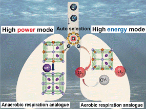 Underwater Power Generator can Autonomously Switch Between Two Functional Modes