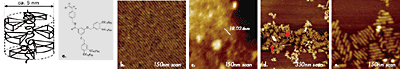 (a) Chemical structure of polyphenylacetylene with mini-dendritic groups and a sketch of the appearance of these molecules in bulk based on the X-ray analysis. Height images of these macromolecules on the fracture surface of the bulk polymer sample (b), in a single molecules domain on mica (c) and on graphite (d) and (e). The number in the insert of (c) indicates a length of four molecules marked with a white line in the image. The red arrows in the image in (d) show one of the molecular stacks on graphite.