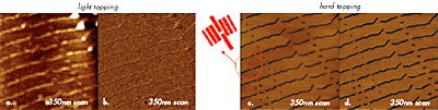 (a)-(b) Height (left) and phase (right) images of ultra long alkane C390H782 on graphite obtained in light tapping. (c)-(d) Height (left) and phase (right) images of the same location as in (a) and (b) obtained in hard tapping. All images were obtained at