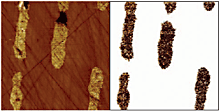 SSRM height and resistance images of crosssectioned capacitor. The capacitor has metal thin film area with dielectric between them. If there were leakage paths between the different electrical contacts, the resistance image would show them (none found in this image).