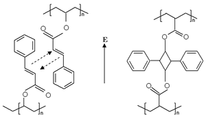 AZoJoMO – AZoM Journal of Materials Online - The photocrosslinking between two PVCi molecules under the irradiation of LPUV laser light.  The vertical arrow E represents the polarization direction or polarization vector of incident electric field of linearly polarized UV light.