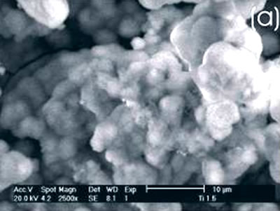 Apatite Formation on Cobalt and Titanium Alloys by a Biomimetic Process